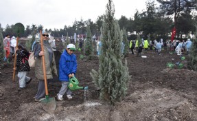 İzmir’de 115 bin adet fidan toprakla buluşturuldu