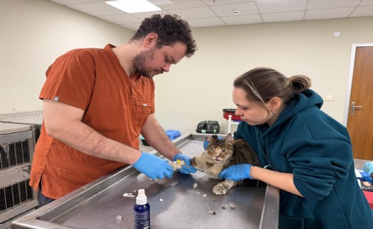 İzmirli hayvansever Çörekçi’nin emanetlerine İzmir Büyükşehir Belediyesi sahip çıktı