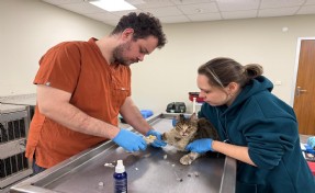 İzmirli hayvansever Çörekçi’nin emanetlerine İzmir Büyükşehir Belediyesi sahip çıktı