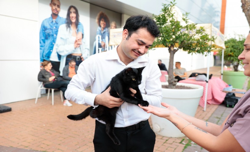 Konak’ta kalpler patili dostlar için attı