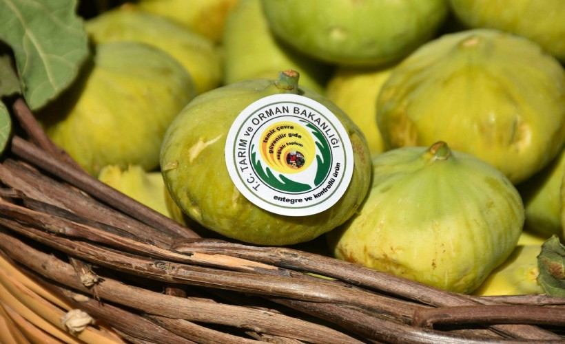 Kuru üzüm, incir ve kayısı üretiminde tablo karanlık!