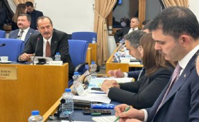 MHP'li Osmanağaoğlu'ndan Beydağ'a TOKİ çağrısı