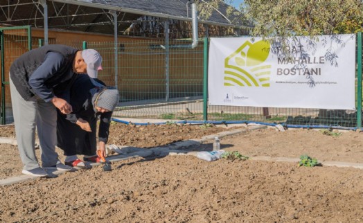 Mahalle bostanlarında kış dikimleri başladı