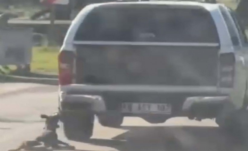 Milas'ta kan donduran vahşet! Kamyonete bağlanarak sürüklenen köpek öldü