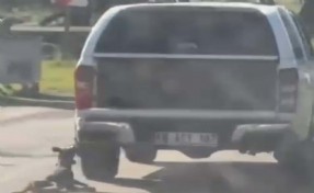 Milas'ta kan donduran vahşet! Kamyonete bağlanarak sürüklenen köpek öldü