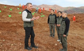 Muğla ve Aydın’da 30 ayrı noktada fidan dikilecek