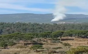 Muğla’da 1 hektar orman kül oldu