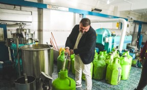 Seferihisar Belediyesi Zeytinyağı Fabrikası üreticiye can olmaya devam ediyor