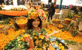 Seferihisar’ın 'Turuncu Bayramı'na geri sayım!