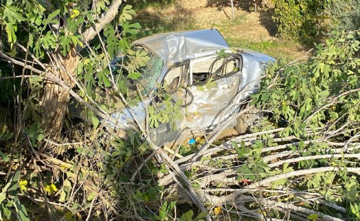 Tarlaya yuvarlanan otomobilin sürücüsü öldü