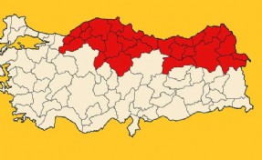 Türkiye genelinde alarm verildi, Karadeniz'i tümden sardı: Büyük istila başladı