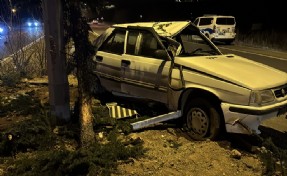 Ağaca ve aydınlatma direğine çarpan otomobilin sürücüsü yaralandı