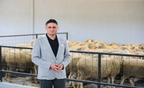 Aliağa'dan üreticiye destek: Damızlık Koyun Merkezi kırsal kalkınmaya güç katıyor
