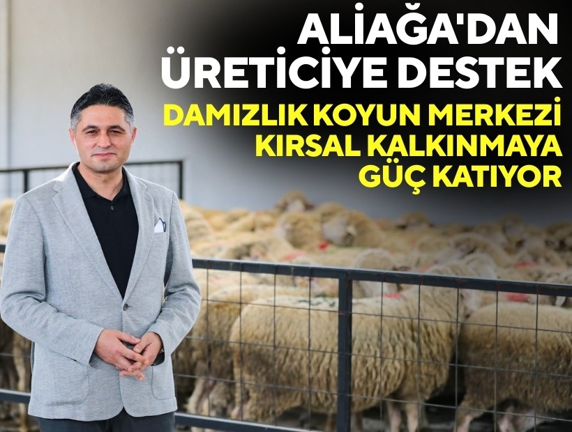 Aliağa'dan üreticiye destek: Damızlık Koyun Merkezi kırsal kalkınmaya güç katıyor