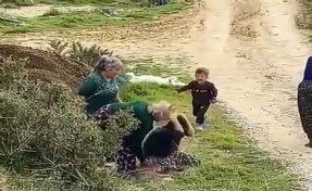 Arazide akraba dehşeti! 5 yaşındaki oğlunun gözü önünde darbedildi