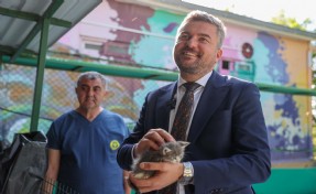 Buca’da 'Satın Alma, Sahiplen!' çağrısı yanıt buldu: 300 can dostu yeni yuvasına kavuştu
