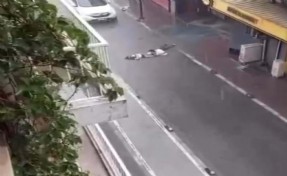 Elektrik faciası davasında gerekçeli karar açıklandı: Kablolar projedeki gibi olsaydı bu kaza yaşanmazdı!