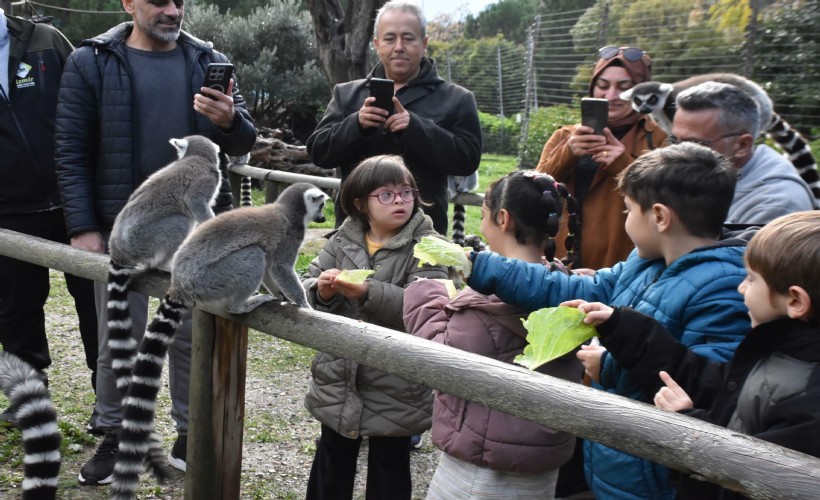 Engelli çocuklar, lemurlarla tanıştı