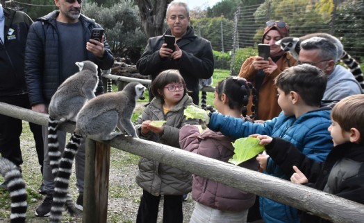 Engelli çocuklar, lemurlarla tanıştı