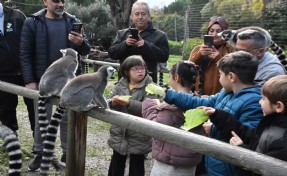 Engelli çocuklar, lemurlarla tanıştı