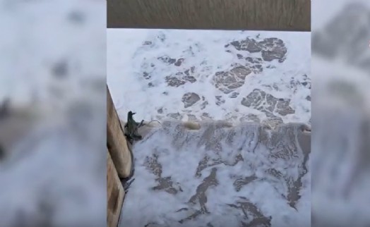 İzmir Körfezi ve Gediz Nehri’nde yapılan incelemelerde sanayi kaynaklı kirlilik tespit edildi