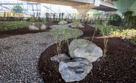 İzmir’in çehresi su tasarruflu bitkilerle güzelleşiyor