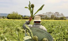 İzmir’in üç güçlü sürdürülebilir turizm hikyesi Halkın Seçimi finalinde