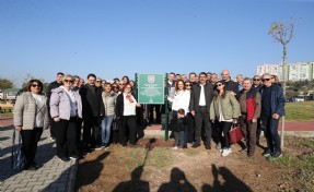 Karşıyaka’da zeytin fidanları toprakla buluştu