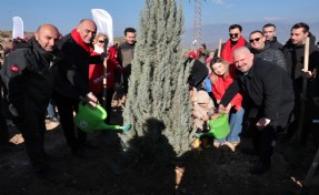 Menemen Belediyesi binlerce fidan dikti