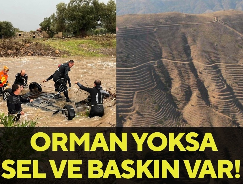Ormanlar yok oldu! Sel ve su baskınları sürecek