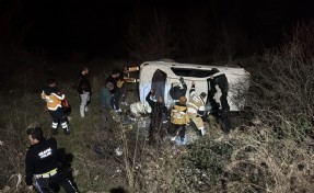 Otomobil şarampole devrildi; 1 yaralı