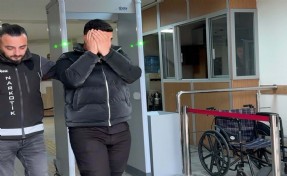 Saksıda kenevir yetiştiren şüpheli tutuklandı