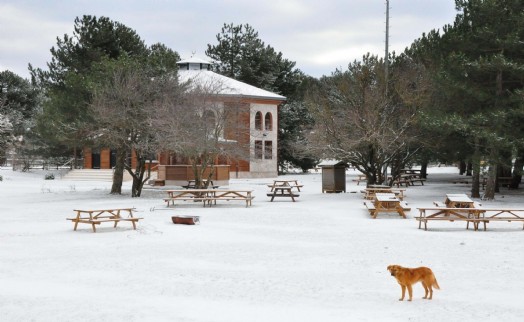 Spil Dağı beyaza büründü