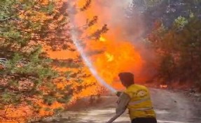 Aydın'da orman yangını