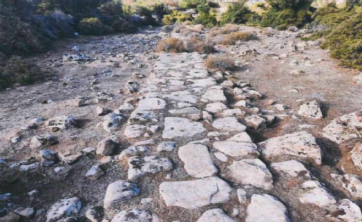 Bergama'da koruma kalkanı: Roma Dönemi’ne ait antik yol bulundu!
