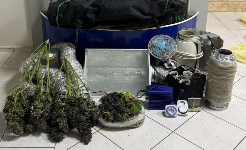 Binanın kapıcı dairesi uyuşturucu yetiştiren 2 şüpheli yakalandı