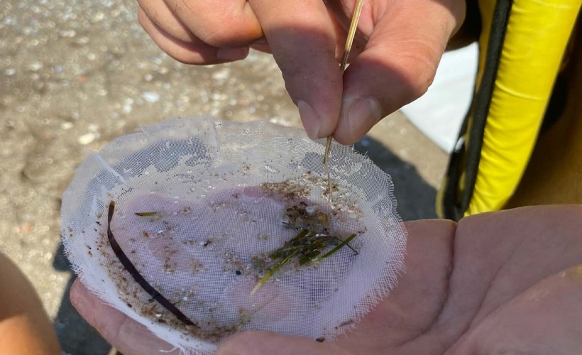 Bozburun Özel Çevre Koruma Bölgesi'nde 'mikroplastik' alarmı