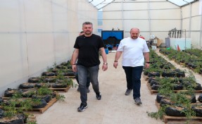 Buca’da sürdürülebilir tarım için önemli hamle