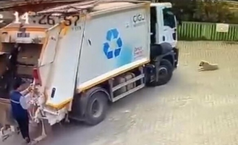 Çöp kamyonu, sokakta oturan köpeği ezerek öldürdü