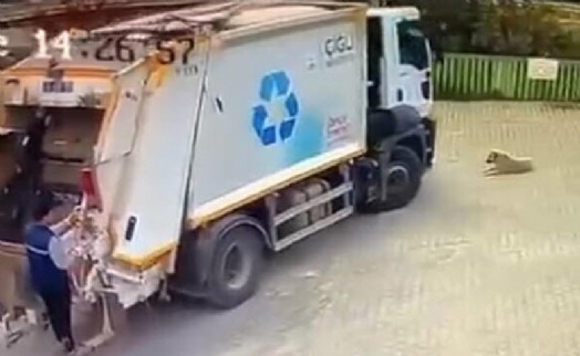 Çöp kamyonu, sokakta oturan köpeği ezerek öldürdü