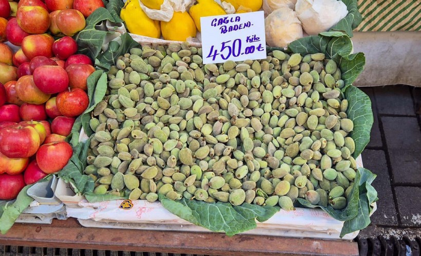 Datça'da badem çağlası hasadı başladı; kilosu 450 TL