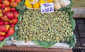 Datça'da badem çağlası hasadı başladı; kilosu 450 TL