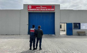 Dolandırıcılık hükümlüsü yakalandı