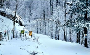 Domaniç'te kar ve buzlanma ulaşımı aksattı