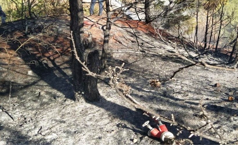 Ege'de orman yangını: 1,5 dekar alan zarar gördü