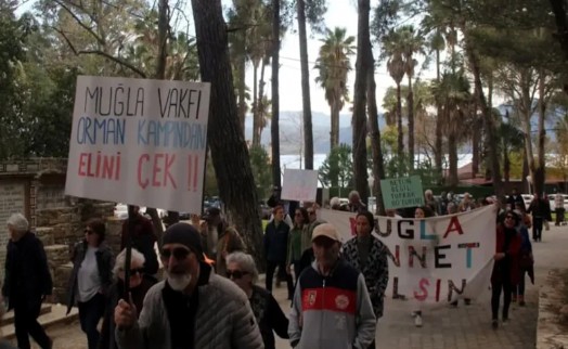 Gökova’da orman yok ediliyor, çevreciler ayakta