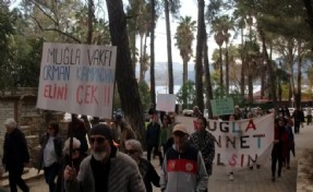 Gökova’da orman yok ediliyor, çevreciler ayakta