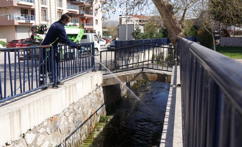 Kemalpaşa Belediyesi'nden haşere ve sineklere karşı etkin mücadele!