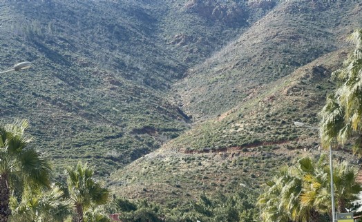 Marmaris'te yanan ormanlarda fidanlar boy verdi