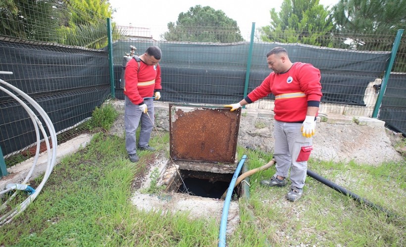 Menderes’te haşere ile mücadele başladı